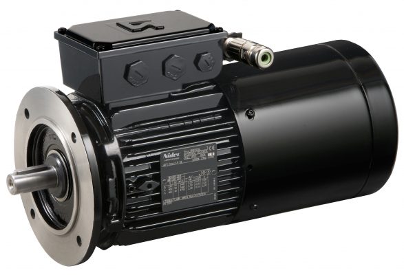 LSMV Inverter Rated Motors