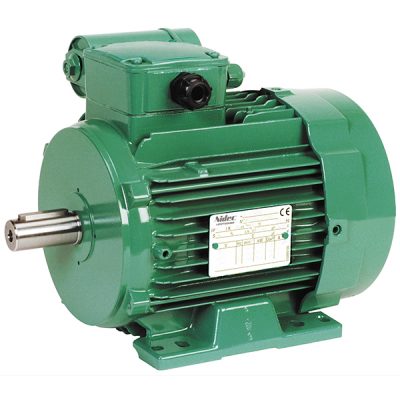 LS P TEFV Induction Motors with Permanent Capacitor